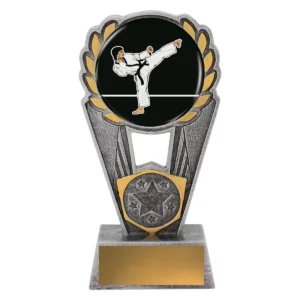 Silver karate polaris - colour with resin construction