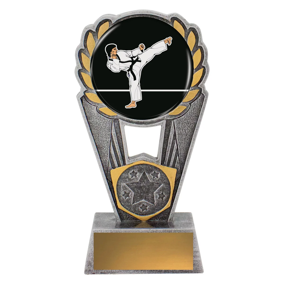 psk111a-silver Silver karate polaris - colour with resin construction