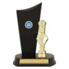 yt8078a-gold Gold king timber crest with plastic / timber construction