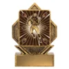 Gold lynx arrow - american football with resin construction