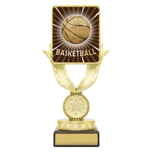 Black lynx sentry - basketball with plastic / marble construction