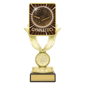 Black lynx sentry - gymnastics with plastic / marble construction