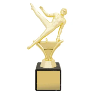Gold marble column - male gym with plastic / marble construction