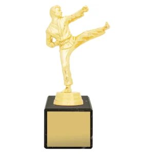 Gold marble column - male karate with plastic / marble construction