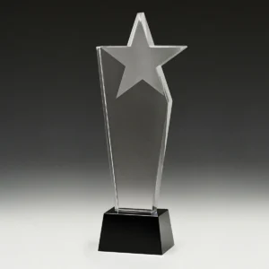 Midnight star with crystal construction