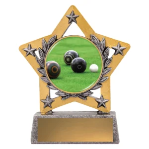 Silver mini star colour - bowls with resin construction