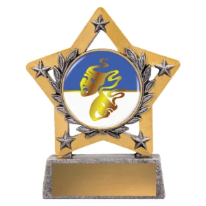 Silver mini star colour - drama with resin construction
