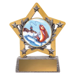 Silver mini star colour - fishing with resin construction