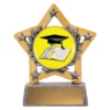 msk6-silver Silver mini star colour - graduate with resin construction