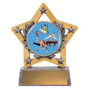 Silver mini star colour - gymnastics with resin construction