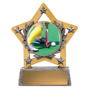 Silver mini star colour - hockey with resin construction