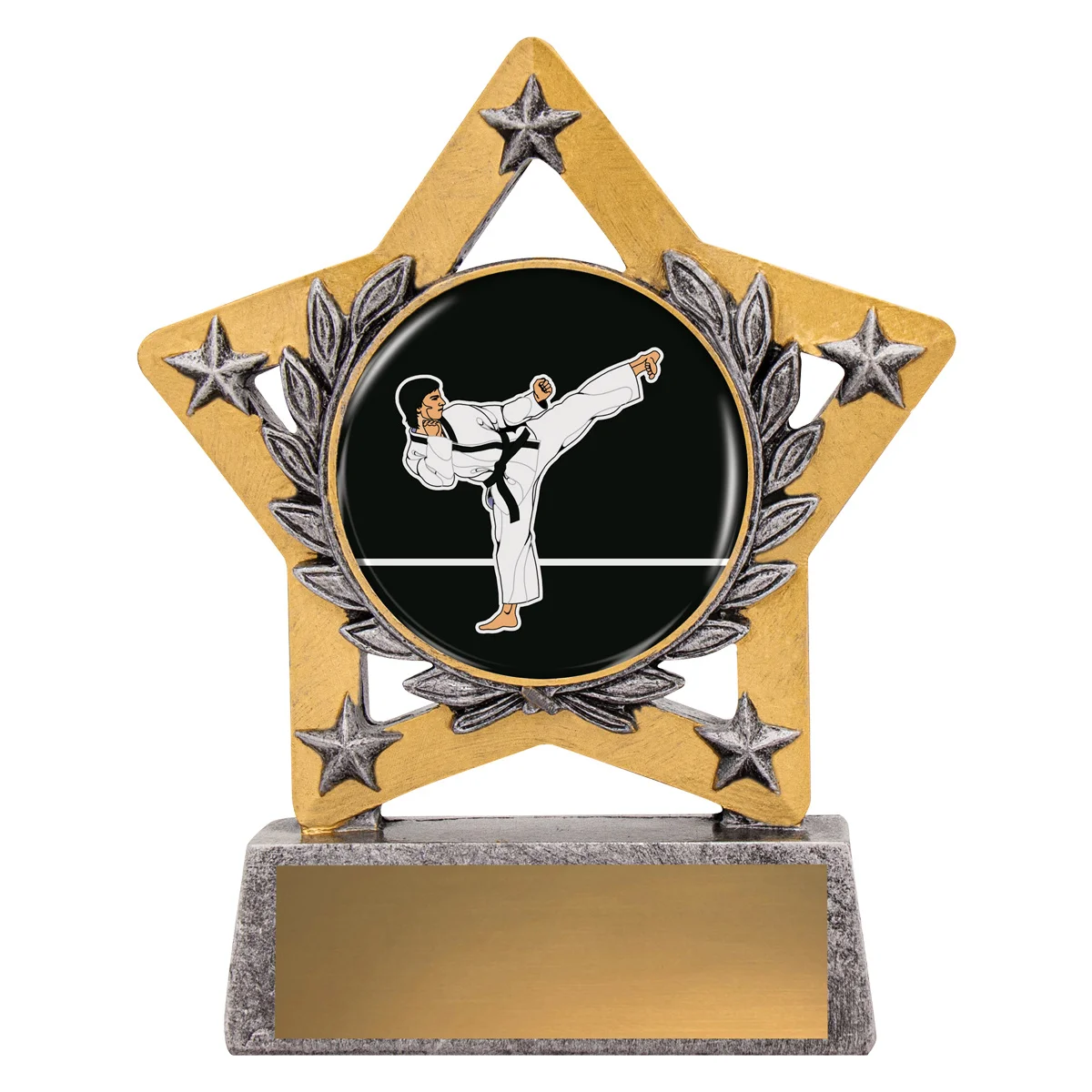 Silver mini star colour - karate with resin construction