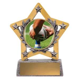 Silver mini star colour - league with resin construction