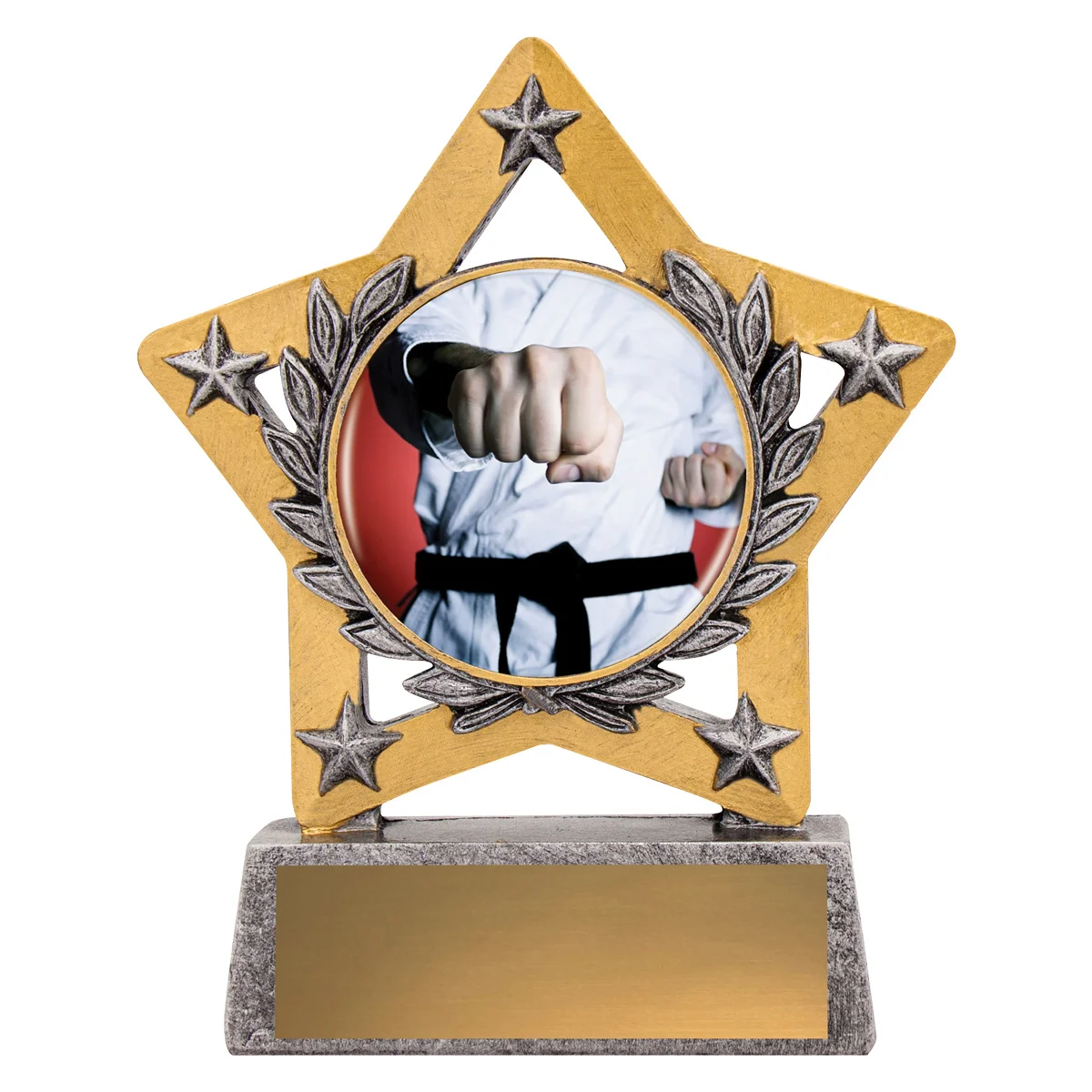 msc451-silver Silver mini star colour - martial arts with resin construction