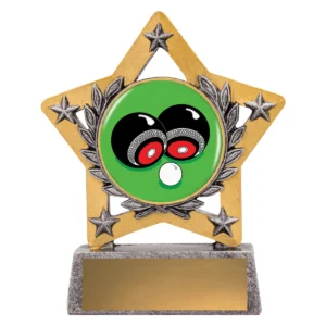 Silver mini star colour - pair with resin construction