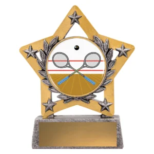 Silver mini star colour - squash with resin construction