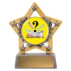 msk132-silver Silver mini star colour - trivia with resin construction