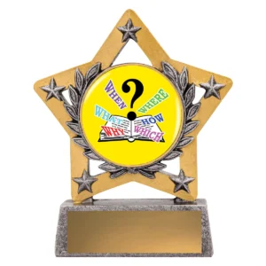 Silver mini star colour - trivia with resin construction