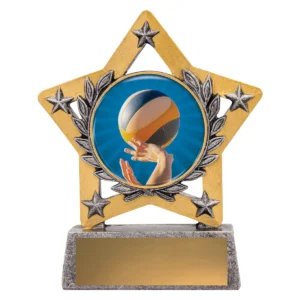 Silver mini star colour - volleyball with resin construction