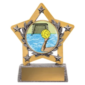 Silver mini star colour - water polo with resin construction