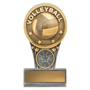 Silver & gold mini volleyball ikon with resin construction