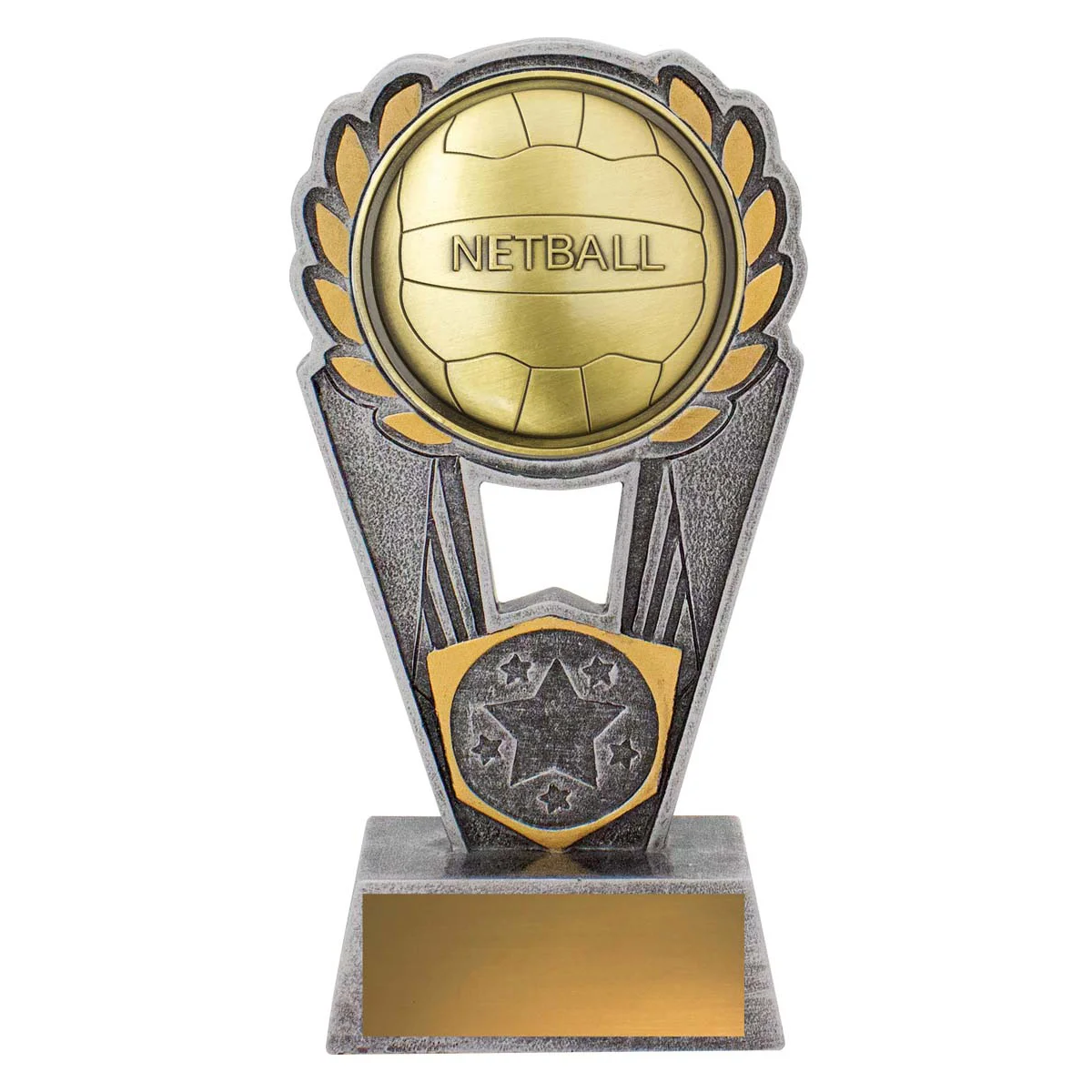 -gold Silver / gold netball polaris with resin / metal construction
