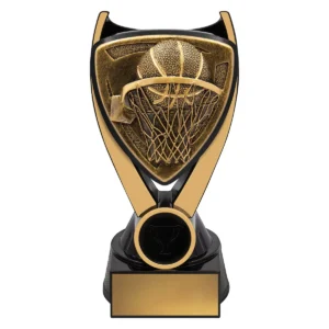 Black / gold nova - basketball with resin construction