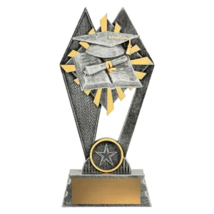 Silver peak - academic with resin construction
