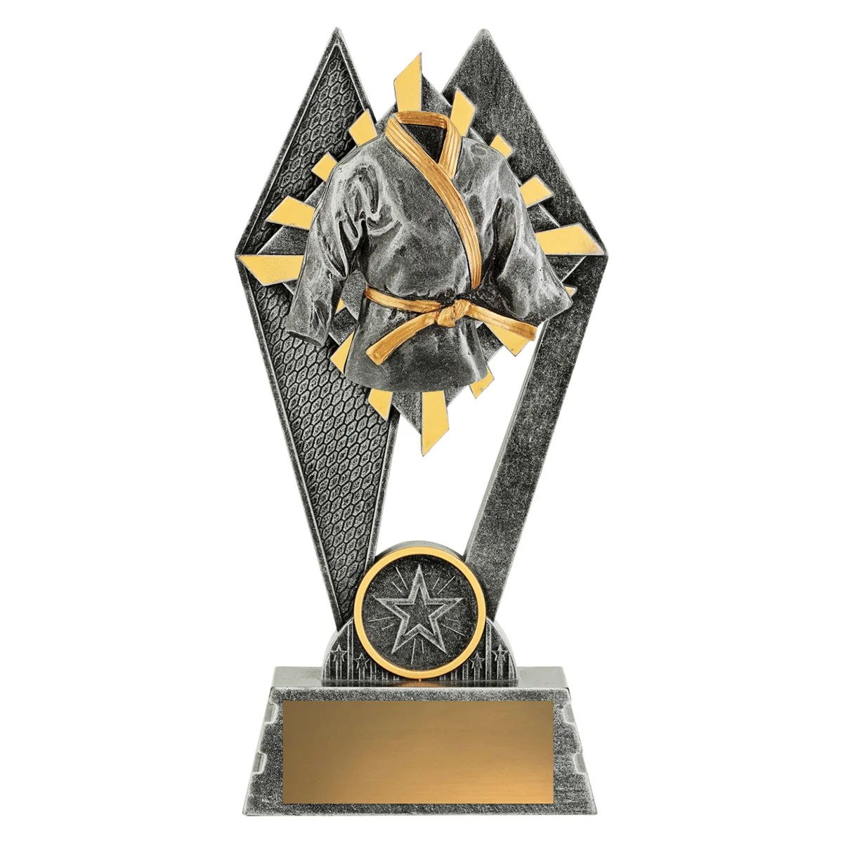 p245a-silver Silver peak - martial arts with resin construction