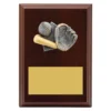 lpf433a-walnut Walnut peak plaque baseball with timber construction