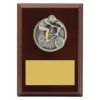 Walnut peak plaque bmx with timber construction