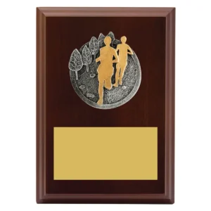 Walnut peak plaque cross country with timber construction