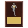 lpf477a-walnut Walnut peak plaque - female with timber construction