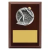 lpf472a-walnut Walnut peak plaque - female swim with timber construction