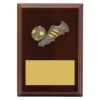 lpf480a-walnut Walnut peak plaque football with timber construction