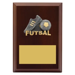 Walnut peak plaque futsal with timber construction