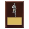 lpf476a-walnut Walnut peak plaque - male with timber construction