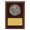 lpf417a-walnut Walnut peak plaque triathlon with timber construction
