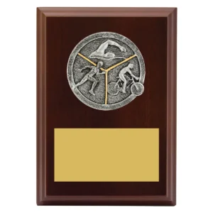 Walnut peak plaque triathlon with timber construction