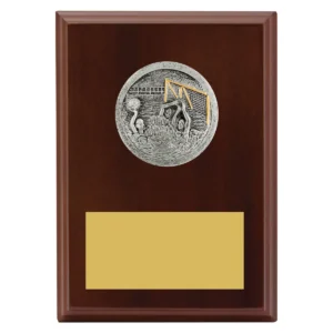 Walnut peak plaque water polo with timber construction