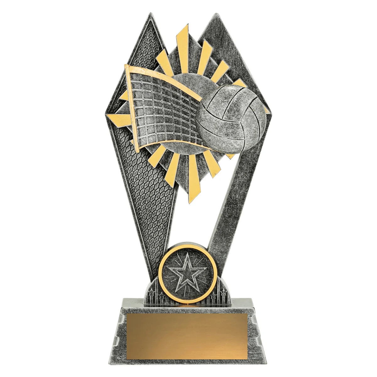 p227a-silver Silver peak - volleyball with resin construction