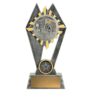 Silver peak - water polo with resin construction