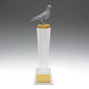 Pigeon crystal with crystal construction
