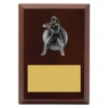 lpf492a-walnut Walnut plaque - female fielding with timber construction