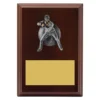 lpf491a-walnut Walnut plaque - male fielding with timber construction