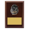 lpf490a-walnut Walnut plaque - wicketkeeper with timber construction