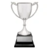scv10-silver Silver provenance cup with metal / plastic construction