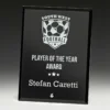 wp17a-black-grey-bg Black radiant plaque black with glass construction
