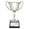 f563b-silver Silver recognition cups with plastic / metal construction
