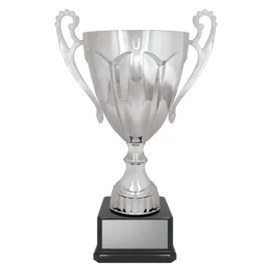 Silver rubicon silver cup with metal / plastic / marble construction
